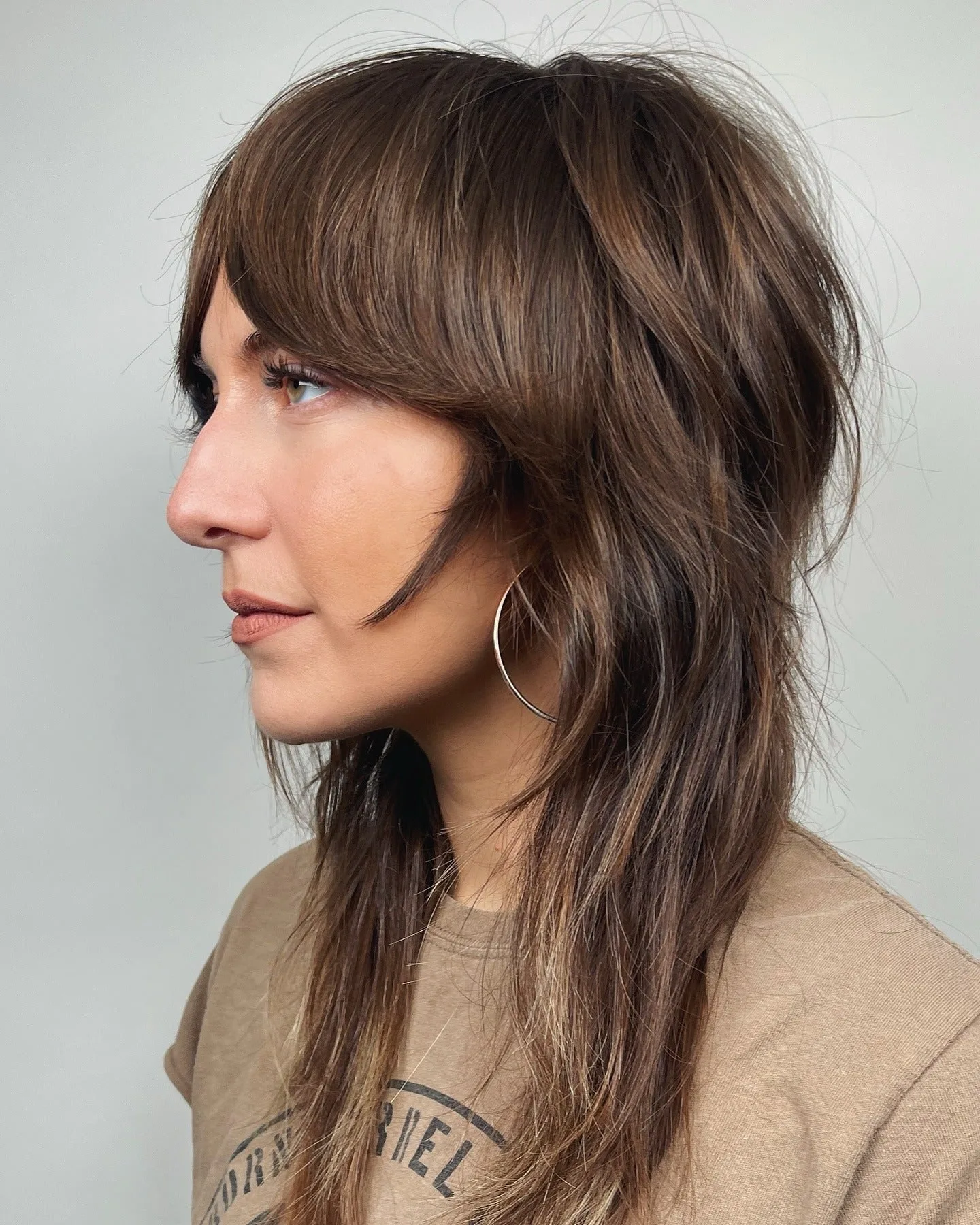 12. Dimensional Brunette Shag with Face-Framing Layers (Medium Layered Shag)