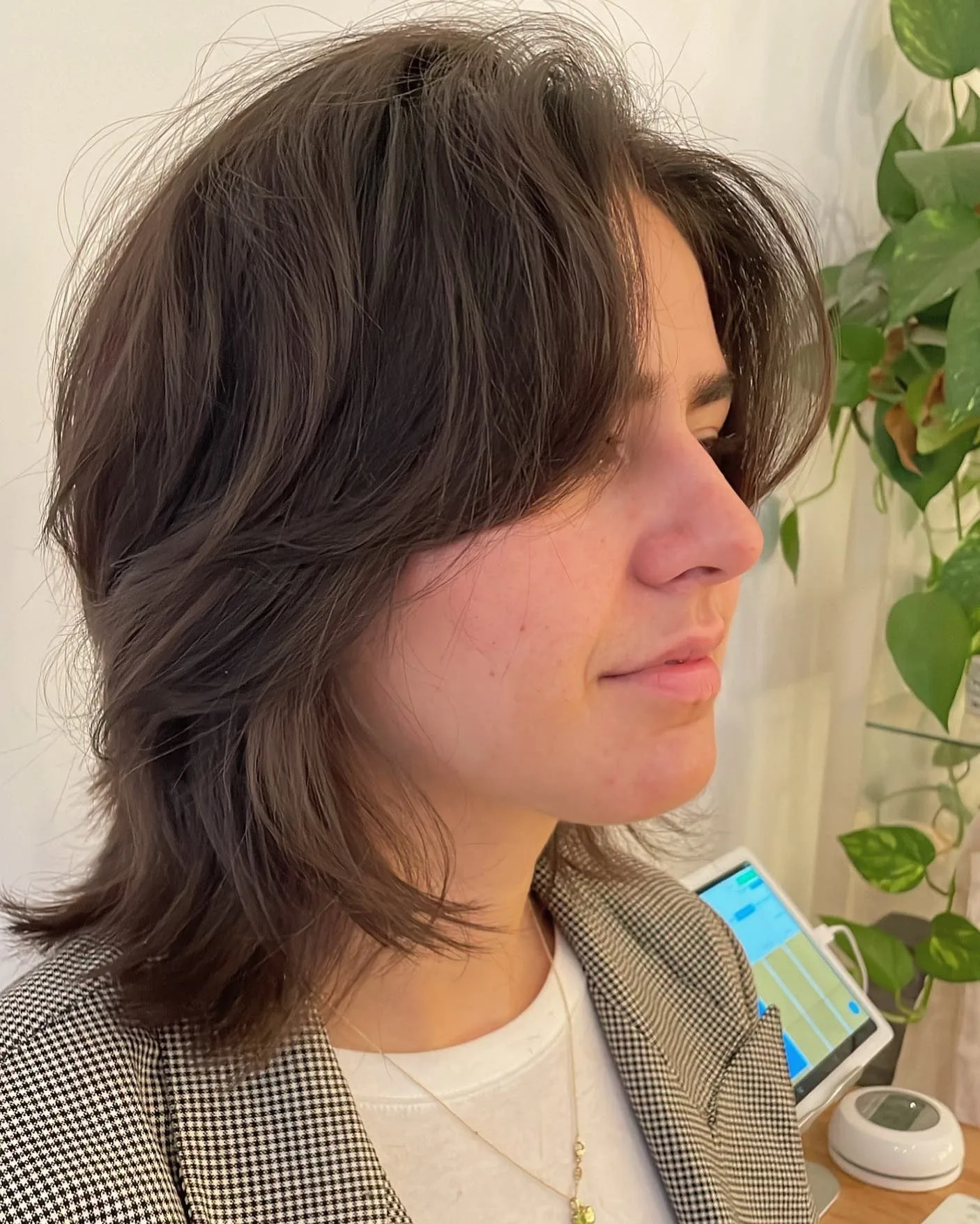 6. Classic Brunette Wolf Cut (Wolf Haircut)