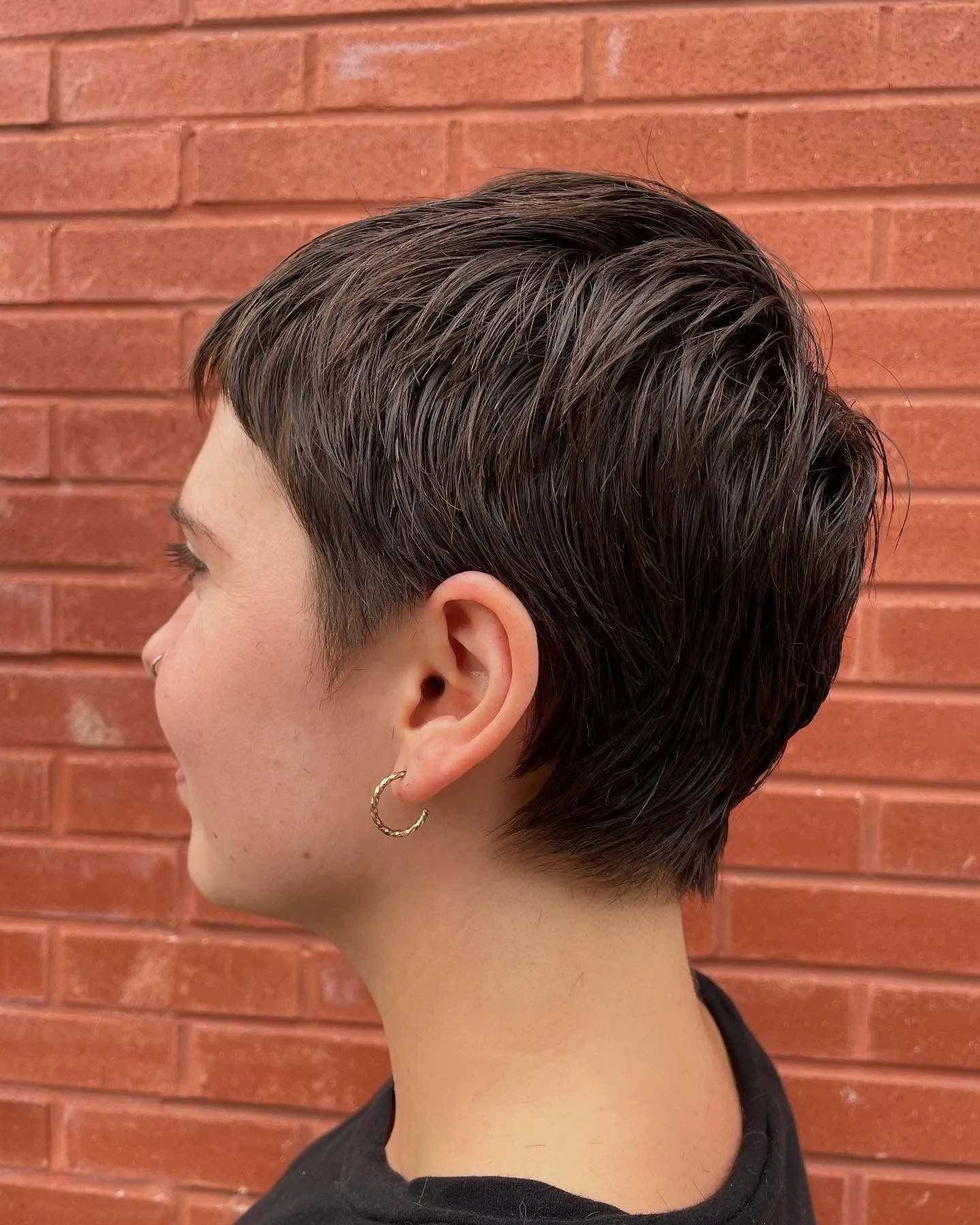 7. Dark Espresso Textured Pixie (Short Pixie Haircuts For Women)