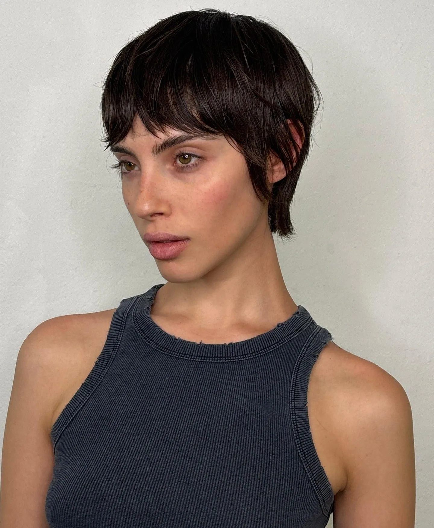 13. Sleek Espresso Micro Pixie (Wispy Pixie Hairstyles)