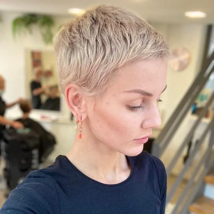 2. Soft Platinum Cropped Pixie (Wispy Pixie Hairstyles)