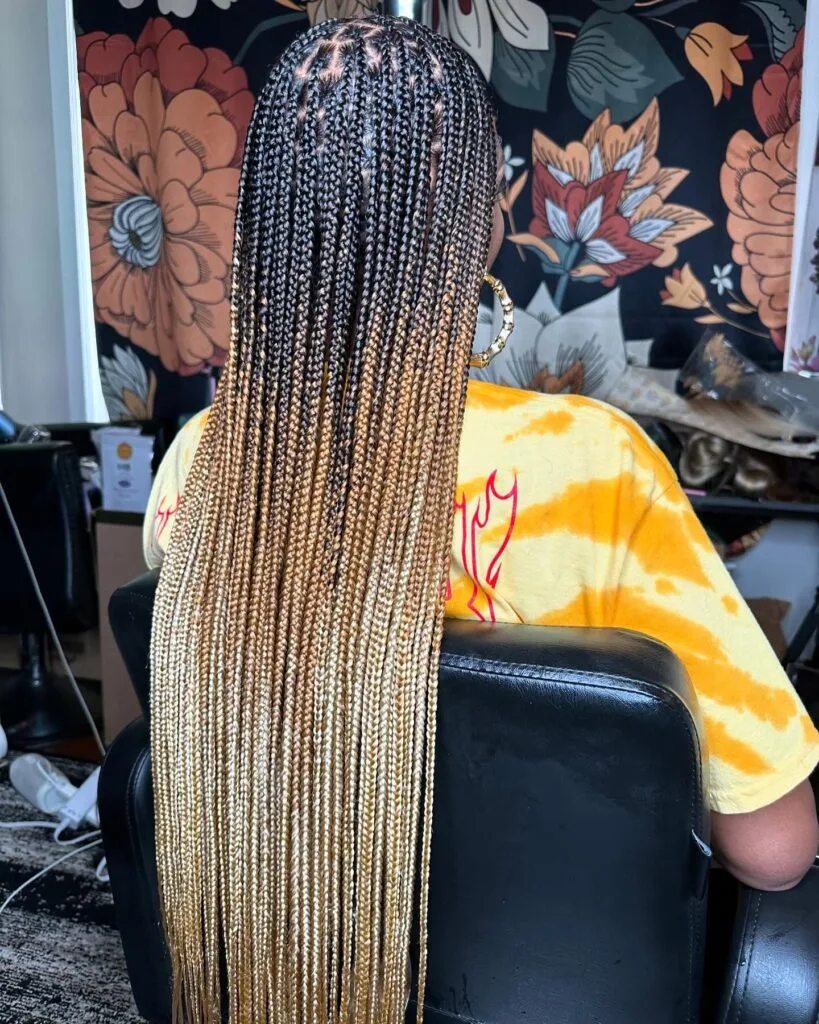 Long Ombre Box Braids with Natural Shine