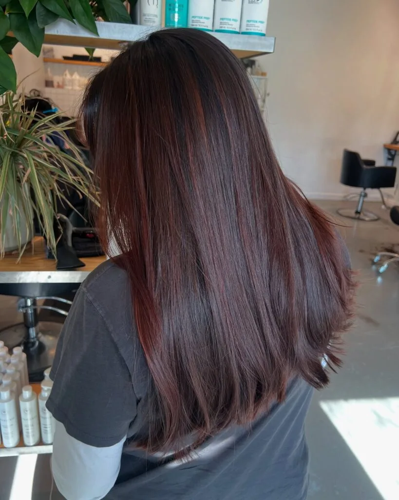 Glossy Cherry-Mocha Mid-Back Soft-Layered Cut