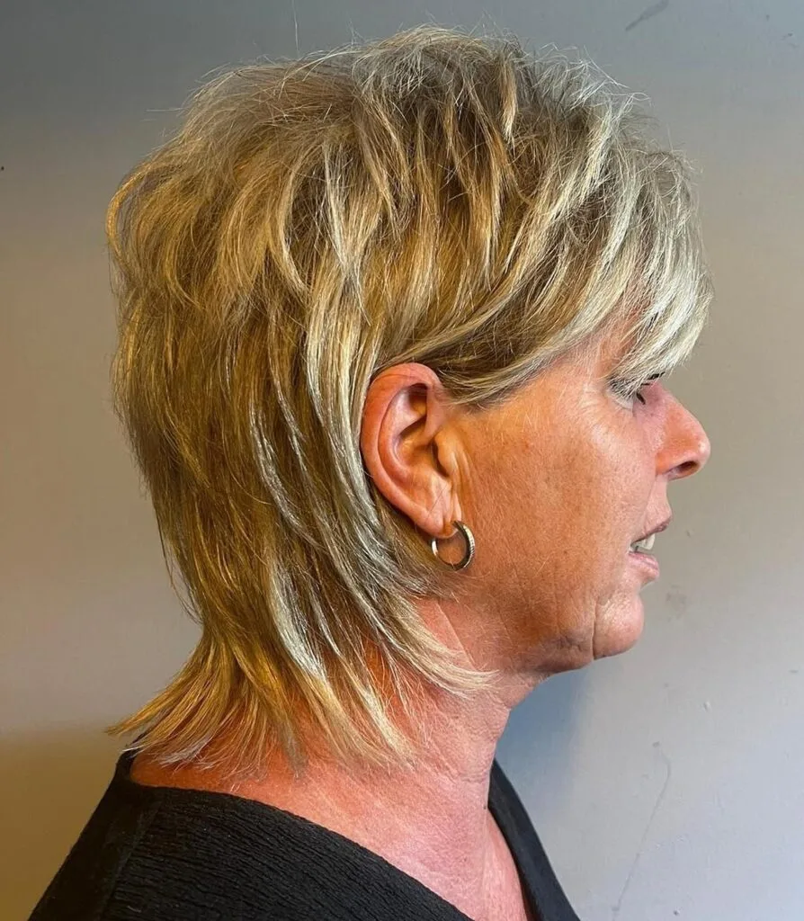 Textured Long Shag with Subtle Layers