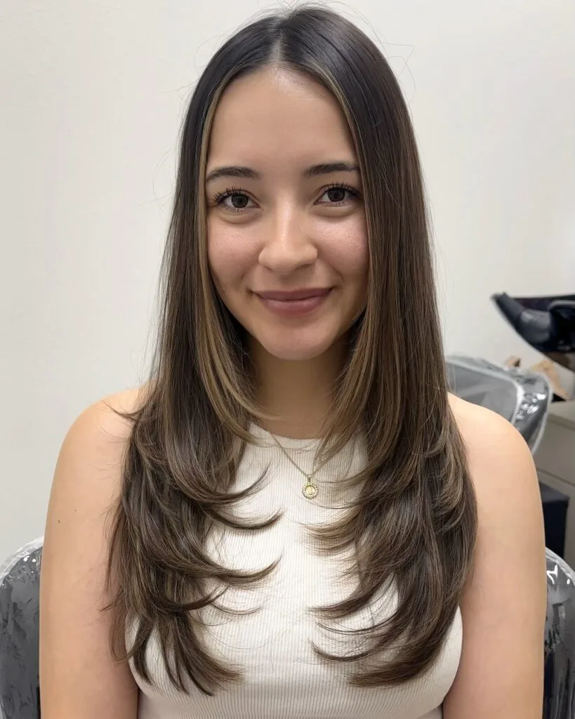 Elegant Long Layered Cut with Subtle Highlights