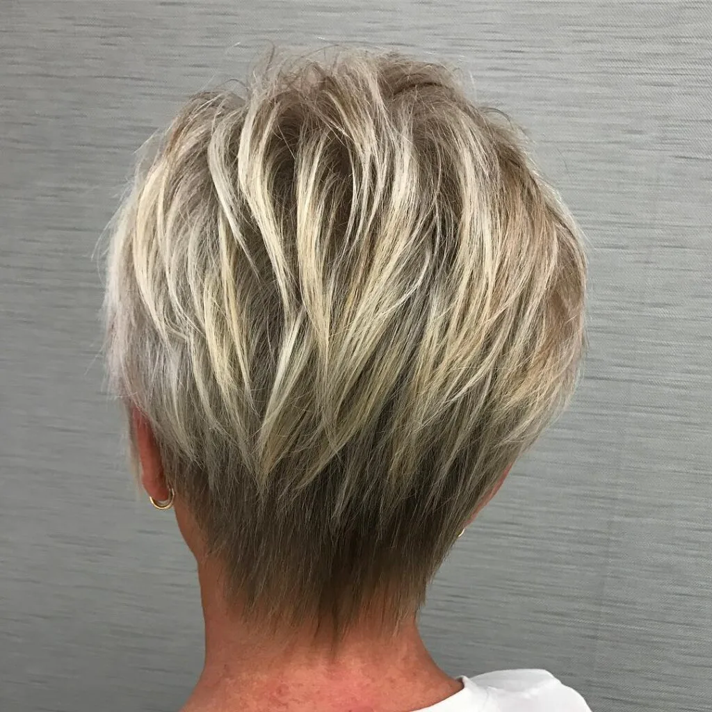 Textured Short Shag with Lively Dimension