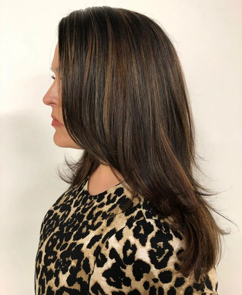 Classic Black and Brown Balayage