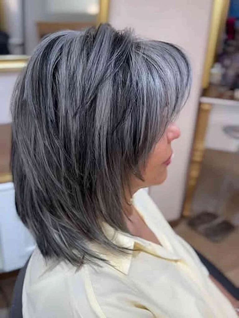 Stylish Silver Gray Hair with Dark Lowlights